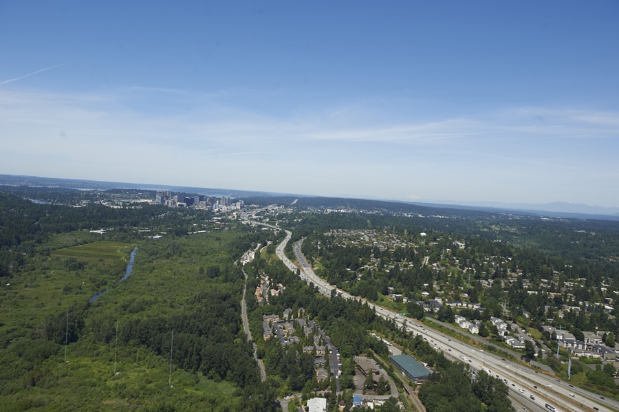 Mercer Creek is surrounded by natural riparian habitat. Image courtesy of John Tiscorina (2016), Bellevue, Washington.