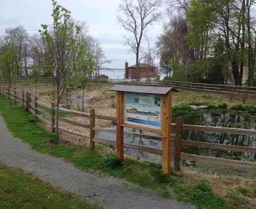 Wet Gravel Vegetated Treatment System. Image courtesy of Walter Burke