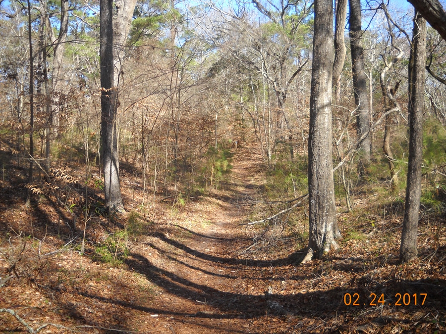 Path in Kitty Hawk Woods Reserve, an area credited for element 422.b. Deed Restrictions. Image courtesy of Ben Alexander, Town of Kitty Hawk.