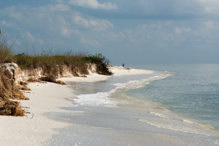 A person walks along a beach in Sanibel, FL. Image courtesy of David Hachen via the Flickr Creative Commons.