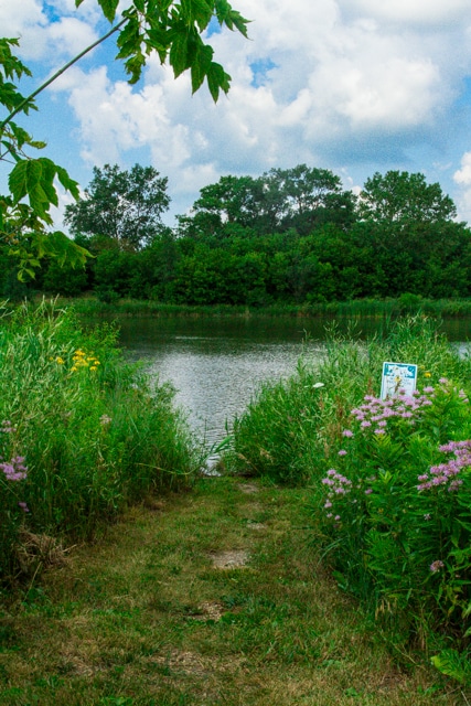 Walking path through natural area. Courtesy of the Village of South Elgin image